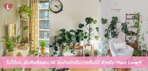 ไม่ได้รก..มันคือศิลปะ!! 50 ไอเดียจัดชั้นวางต้นไม้ สำหรับ Plant Lover!!