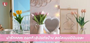 น่ารักกกก! ดอกทิวลิปแต่งบ้าน สดใสแบบมินิมอล!!