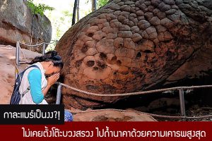 กาละแมร์เป็นงง?! ไม่เคยตั้งโต๊ะบวงสรวง ไปถ้ำนาคาด้วยความเคารพสูงสุด ไกด์ยังงงขึ้นลงไวไม่มีหอยทาก