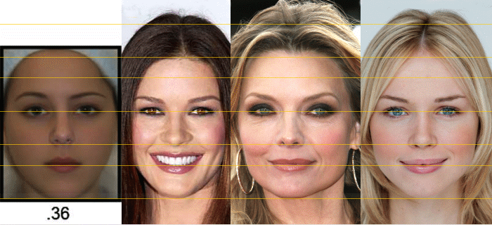 face-new-golden-ratio-36-model-comparison