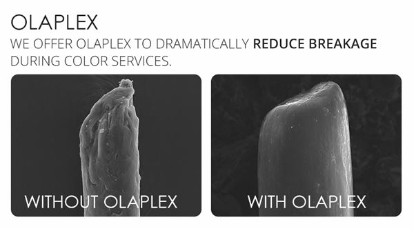 olaplex คือ