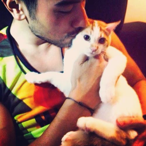 Godfrey Gao