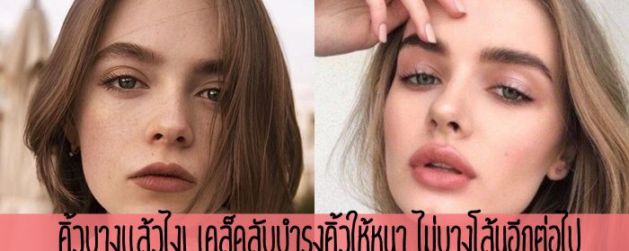 คิ้วบางแล้วไง! เคล็ดลับบำรุงคิ้วให้หนา ไม่บางโล้นอีกต่อไป