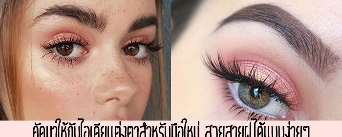 คัดมาให้กับไอเดียแต่งตาสำหรับมือใหม่ สวยสายฝ.ได้แบบง่ายๆ