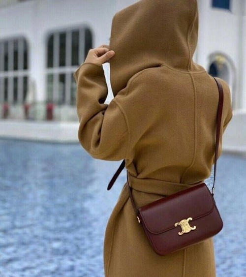 กระเป๋า Celine Triomphe ใบนี้ที่ลิซ่าใช้บ่อย! - Ladyissue เว็บรีวิว